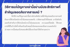 วิธีใช้น้ำมันหอมระเหย ไล่หนูแมลงออกจากบ้านลาเวนเดอร์ 9 หยด?