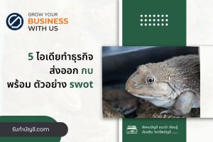 สร้างรายได้ฟาร์มส่งออกกบ แปรรูปอะไรได้บาง 9 เตรียมความพร้อม?