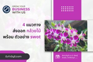 ส่งออกนำเข้าดอกไม้กล้วยไม้ไทยไปต่างประเทศ 9 โอกาสที่อาจเกิด?