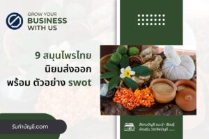 แนวโน้มตลาดสมุนไพรไทยที่นิยมส่งออกมีอะไร 9 รายได้ให้ประเทศ?