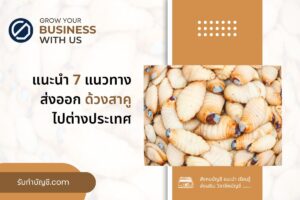 แนวทางส่งออกด้วงสาคูต่างประเทศตลาดรับซื้อ 2 ขนาดหลากหลายราคา
