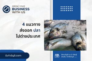 บอกแนวทางส่งออกปลาสวยงามต่างประเทศ 2 จุด มีเป้าหมายรายได้