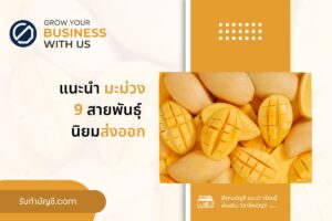 ธุรกิจส่งออกผลไม้บริษัทส่งออกมะม่วงต้องทำ 9 สายพันธ์ุที่นิยม?