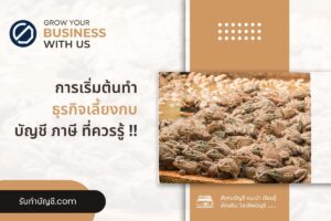 เลี้ยงกบ 10 ปัญหามือใหม่ฟาร์มกบกี่เดือนขาย เป้าหมายรายได้?