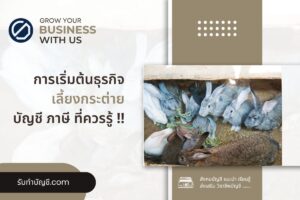 เริ่มต้นธุรกิจเลี้ยงกระต่าย 10 โรงเรือนฟาร์มรายรับรายจ่าย?