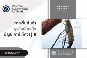 เลี้ยงกุ้ง ต้นทุนขาวแวนนาความฟาร์มเงินล้านผลตอบแทนวิเคราะห์?