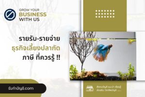 เลี้ยงปลากัดขายดีไหมรับซื้อปลากัด 7 ข้อมี จบเป้าหมายรายได้?