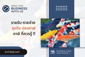 เลี้ยงปลาคาฟในบ่อปูนไม่ใช้ออกซิเจน 9 วิธี จบเป้าหมายรายได้?