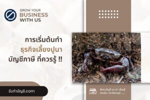 ข้อเสีย เลี้ยงปูนามือใหม่ขายที่ไหนลงทุน 10 เตรียมความพร้อม?