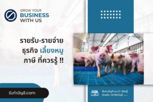 เลี้ยงหมูทำฟาร์มหมูโรงเรือนเลี้ยงหมูทุนแนะนำ 9 ขั้นตอนเริ่ม?
