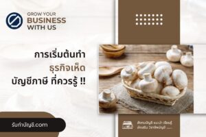 แผนธุรกิจฟาร์มเห็ดแปรรูปส่งออกเห็ดเศรษฐกิจนี้คือ 9 ขั้นตอน?