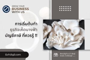 เห็ดนางฟ้าลงทุนเท่าไรขายส่งได้ราคา 9 วิธี จบเป้าหมายรายได้?