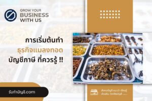 ร้านขายแมลงแช่แข็ง แมลงทอดขายส่งมีอะไรบ้าง 7 เริ่มต้นต้องรู้?