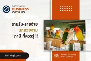เลี้ยงนกสวยงามอะไรขายดีฟาร์มนกแก้ว 9 วิธี จบเป้าหมายรายได้?