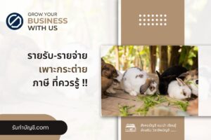 ฟาร์มเพาะกระต่าย วิธีการเลี้ยงกระต่ายเนื้อมี 7 ศักยภาพกำไร?