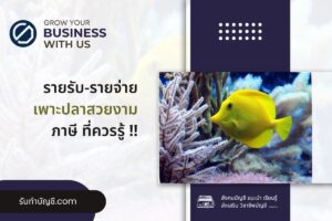 เพาะปลาสวยงามฟาร์มปลาอุปรกรณ์เลี้ยงเบื้องต้น 9 เตรียมพร้อม?