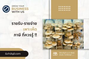 เพาะเห็ดทำฟาร์มเพาะเห็ดในโอ่งลงทุน 200 บาท เป้าหมายรายได้?