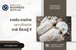 เพาะเห็ดขายทำฟาร์มเห็ดลงทุนเท่าไร 10 ข้อมี เป้าหมายรายได้?