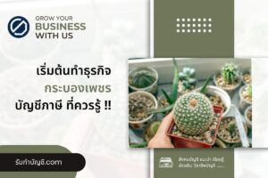 กระบองเพชรธุรกิจแคคตัสประโยชน์พันธุ์ต่างๆ 10 เตรียมความพร้อม?