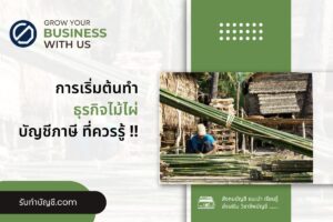 ไม้ไผ่การอาจตอนหลายการตลาดการขายคุณภาพพร้อม 10 กระบวนการ