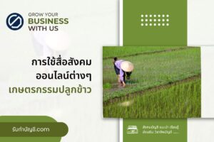 แม่ค้าออนไลน์ปลูกข้าว เวลาปลูกข้าวสมัยใหม่ 9 กับเกษตรกรรม?